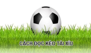 Cách Chơi Kèo Tài Xỉu Hiệu Quả Cho Người Mới Bắt Đầu Và Dân Cá Cược Chuyên Nghiệp