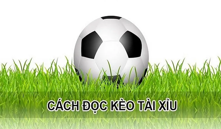 Cách Chơi Kèo Tài Xỉu Hiệu Quả Cho Người Mới Bắt Đầu Và Dân Cá Cược Chuyên Nghiệp