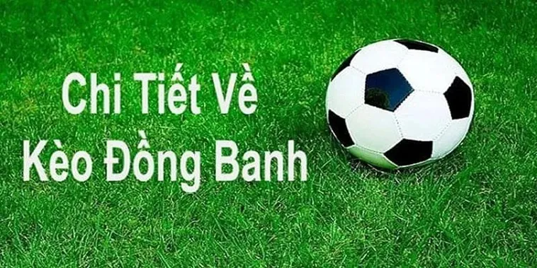 Hiểu Rõ Cách Chơi Kèo Đồng Banh Hiệu Quả Cho Người Mới Bắt Đầu
