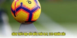 Cách Chơi Kèo Chấp 0.5 Hiệu Quả Và Chiến Lược Tăng Cơ Hội Thắng